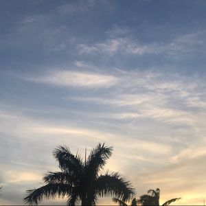 Meet your Posher, Maddie